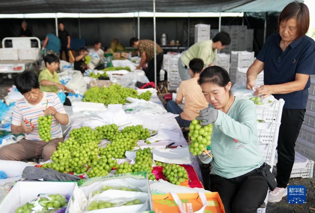 平博提现不出款